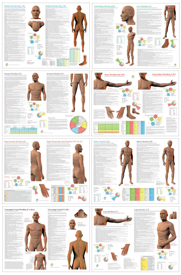 Acupuncture Meridian Points Posters Acupuncture Meridian Points Posters