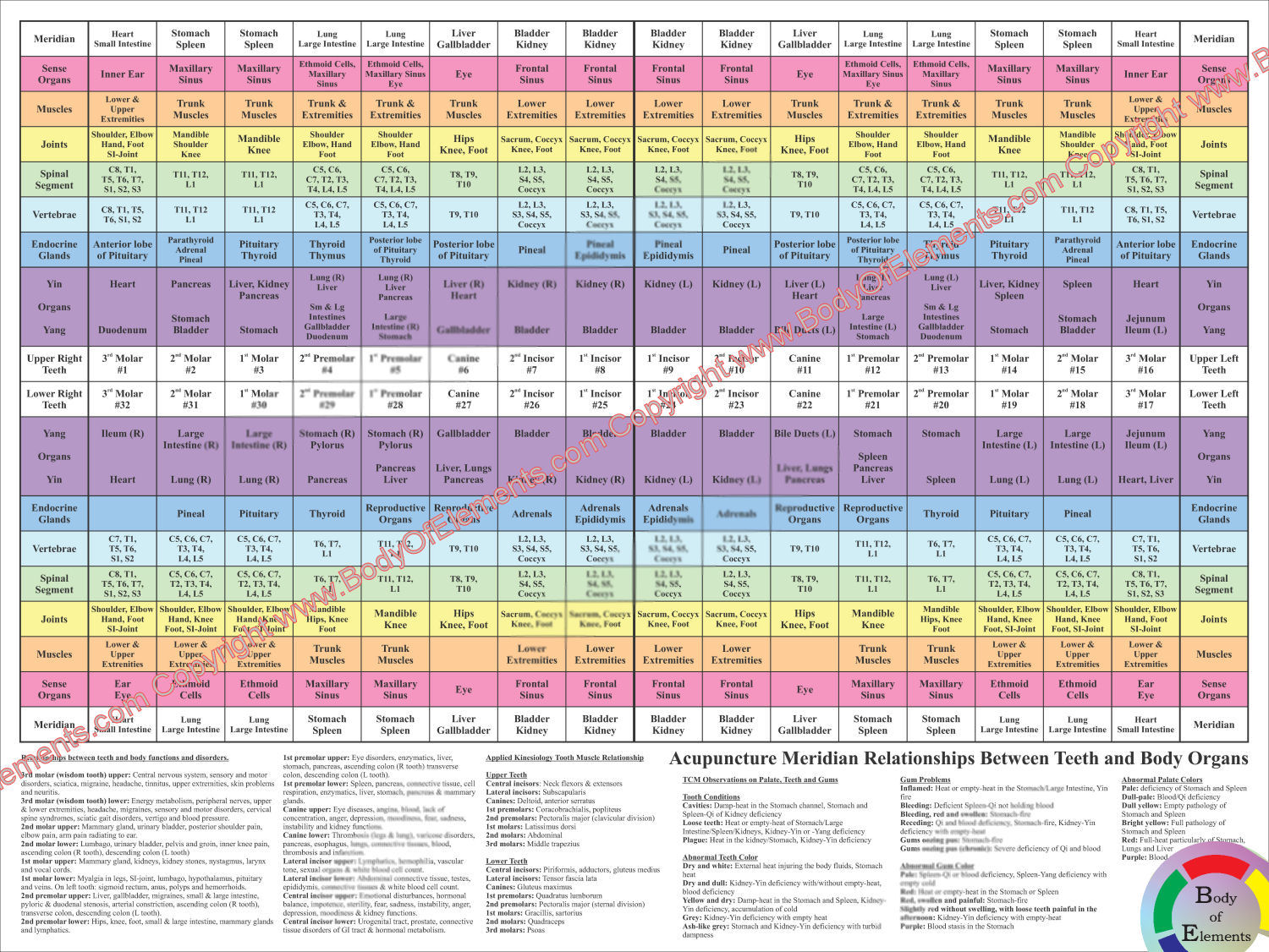 Dental Acupuncture Poster Dental Acupuncture Poster