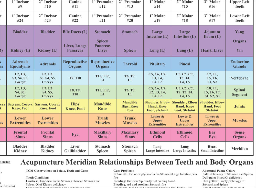 Dental Acupuncture Meridians Poster Dental Acupuncture Poster