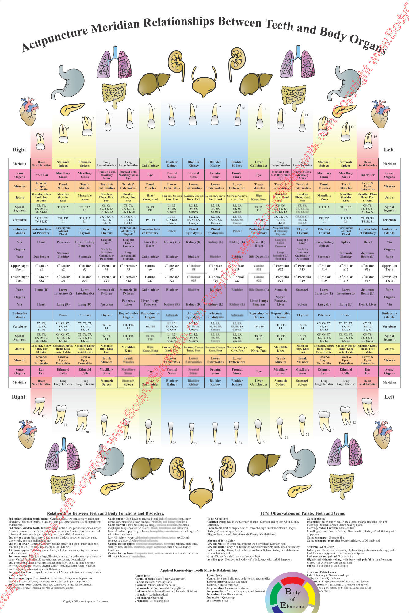 Dental Acupuncture Poster Dental Acupuncture Poster