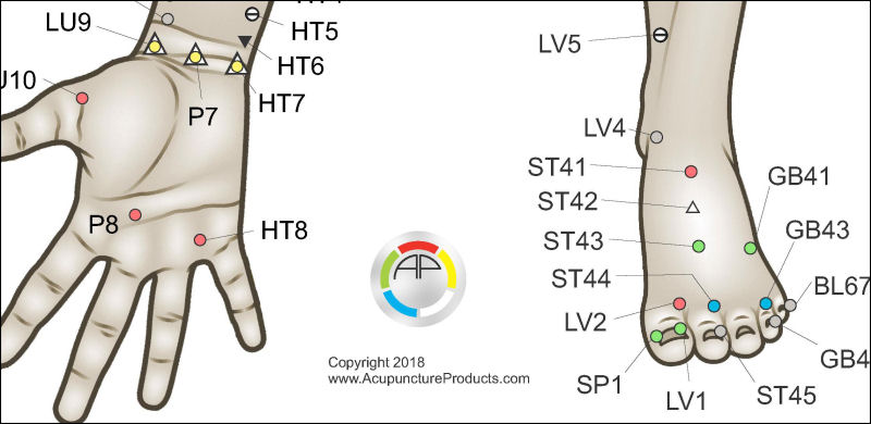 Five Element Source Points Poster Five Element Acupuncture Point Locations Poster