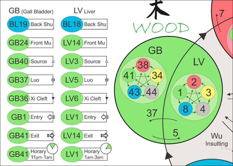 Five Element Points Acupuncture Chart Five Element Acupuncture Points Chart