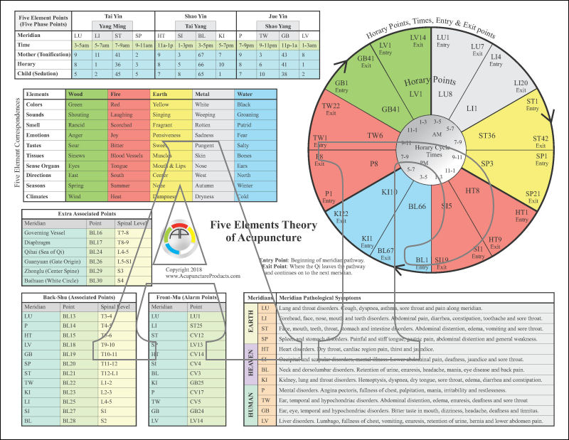 Five Elements Horary Points Acupuncture Chart Five Elements Horary Points