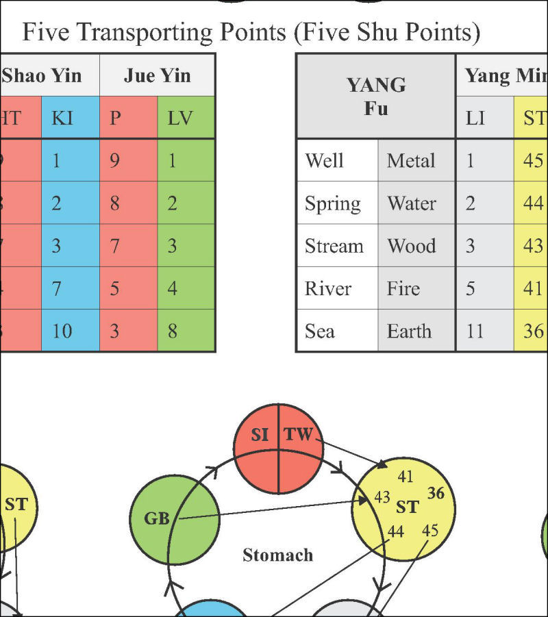 Five Element Shu Points Five Element Shu Points