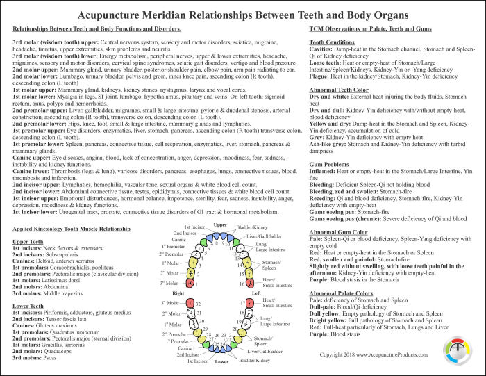 Holistic Dental Acupuncture Chart Holistic Dental Acupuncture Chart