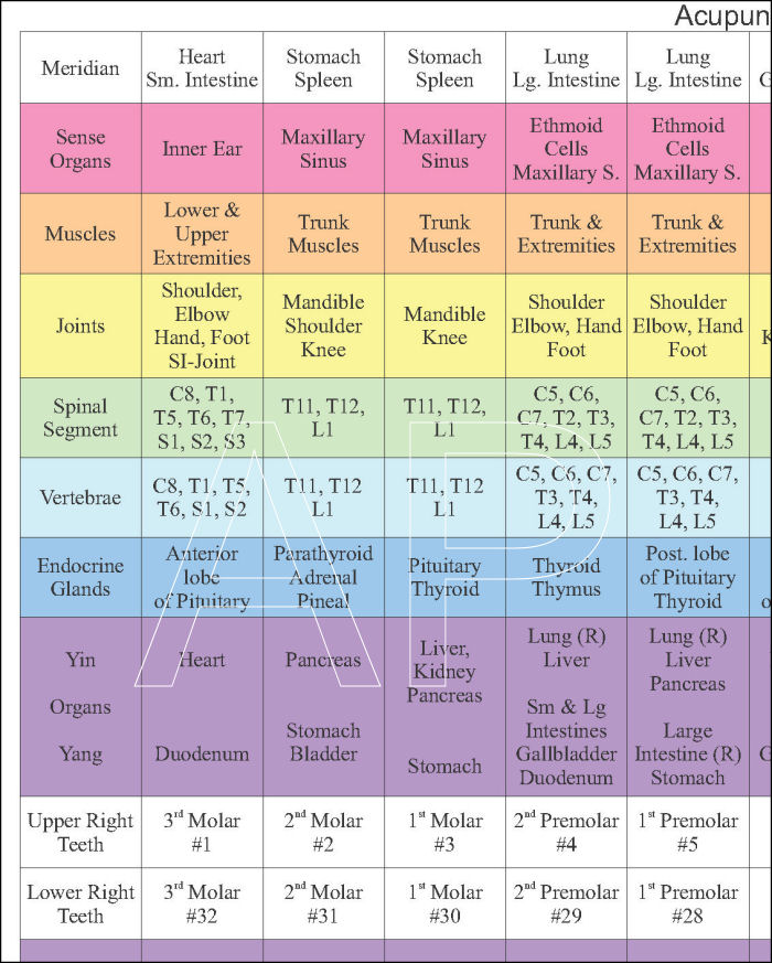 Tooth Acupuncture Chart Tooth Acupuncture Chart