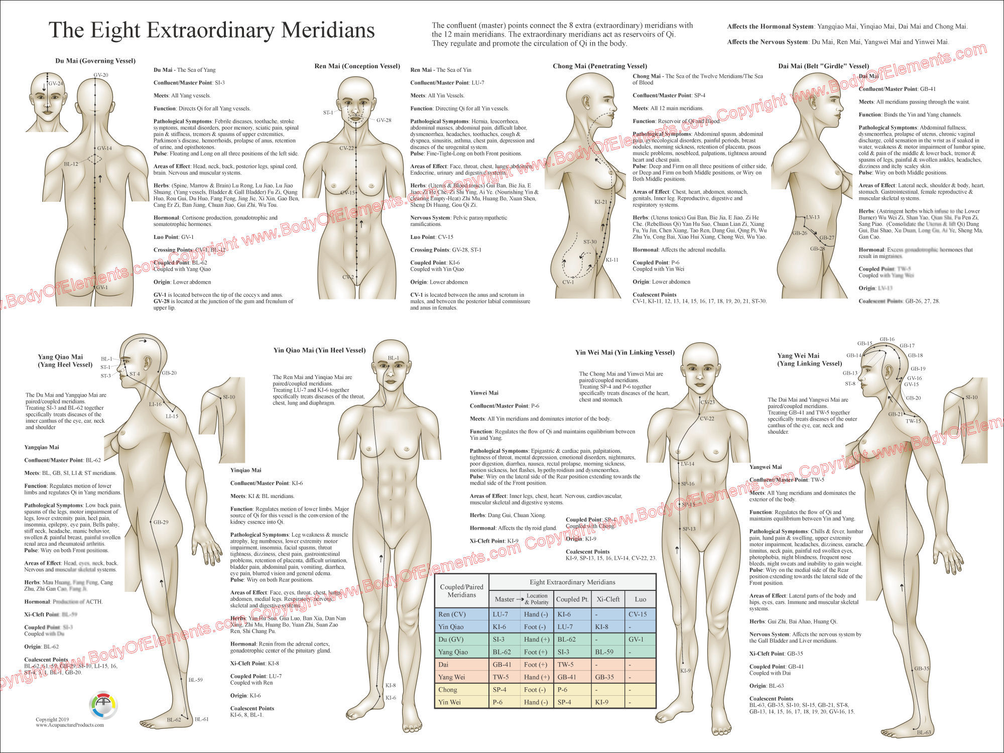 Eight Extraordinary Meridians Poster Eight Extraordinary Meridians Poster