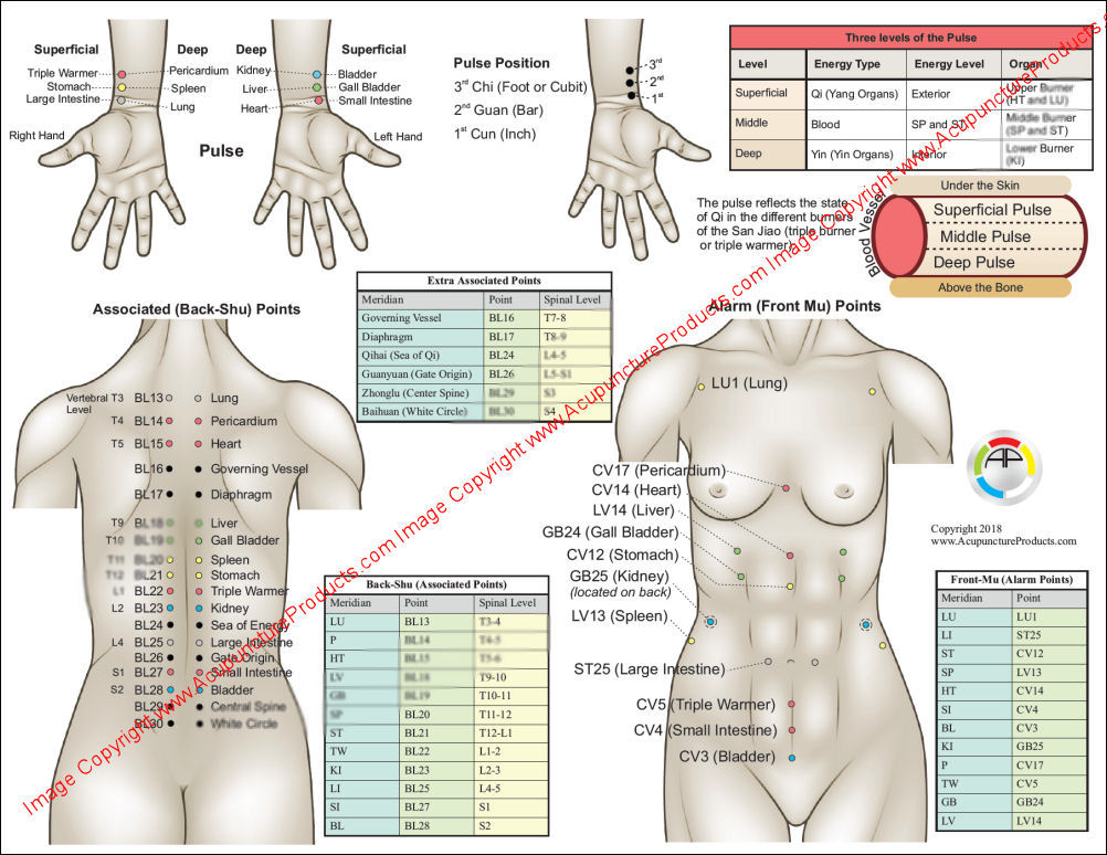 Five Element Theory of Acupuncture Chart Five Element Theory of Acupuncture Chart