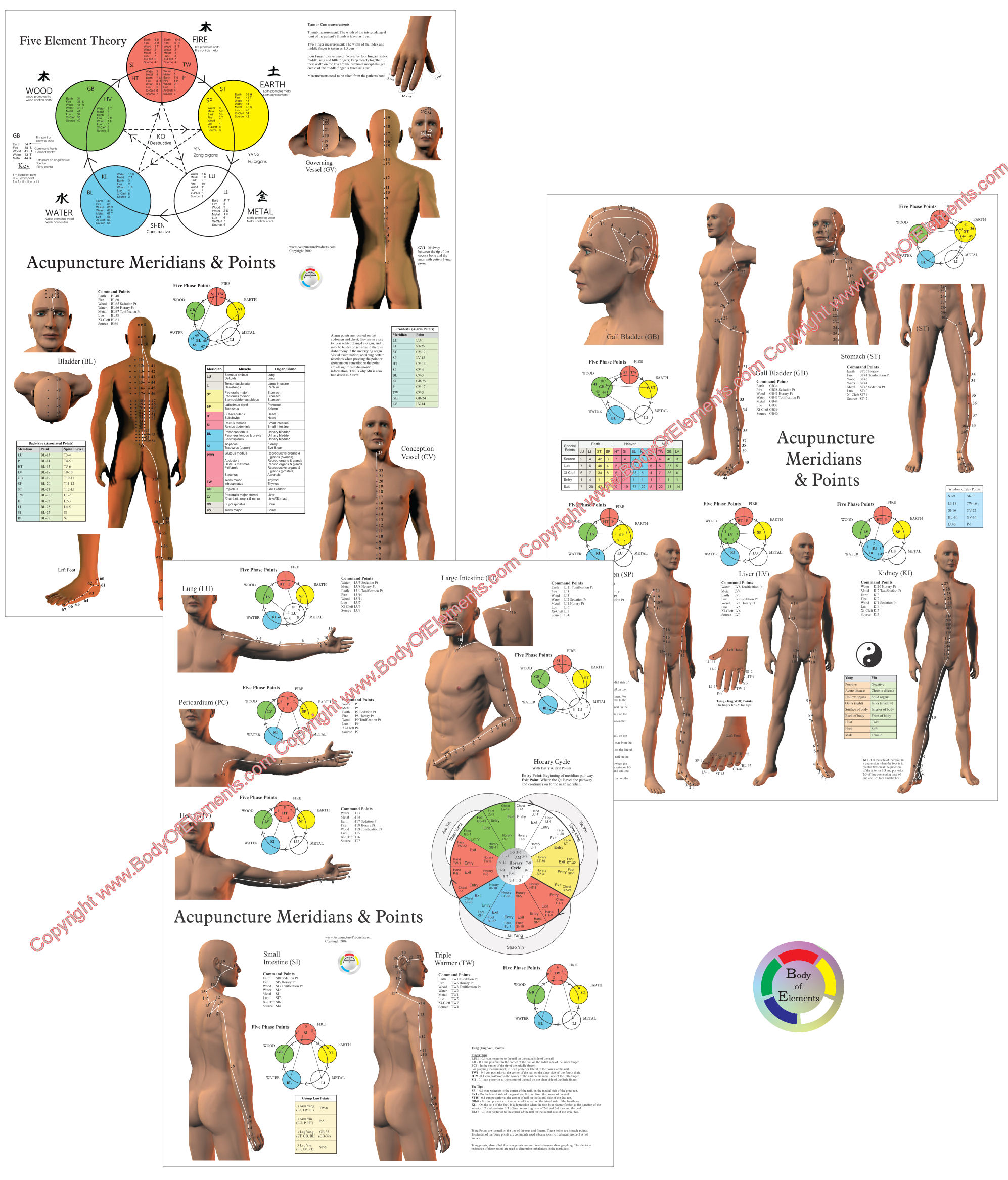 Acupuncture Meridian Points Chart Set Acupuncture Meridian Points
