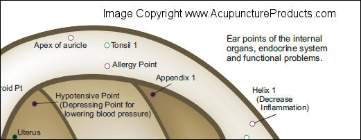 Chinese System of Auricular Ear Acupuncture Poster Chinese System of Auricular Ear Acupuncture