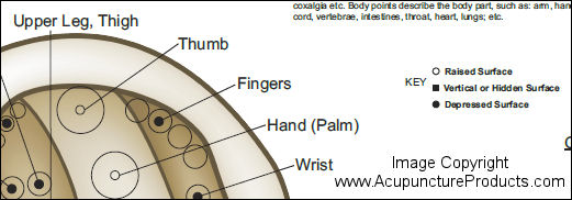 Auricular Ear Acupuncture