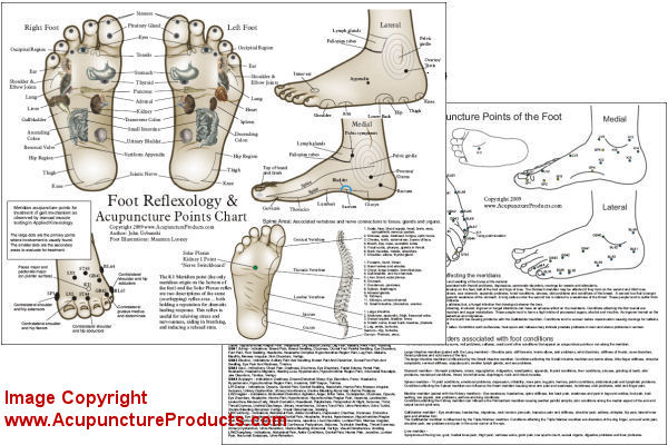Foot Reflexology Chart Foot Reflexology Chart