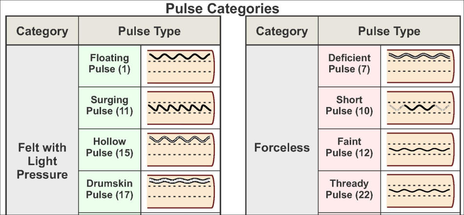 Pulse Diagnosis Categories Poster Chinese Pulse Diagnosis Categories Poster