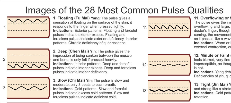 Pulse Diagnosis Qualities Poster Pulse Diagnosis Qualities Poster