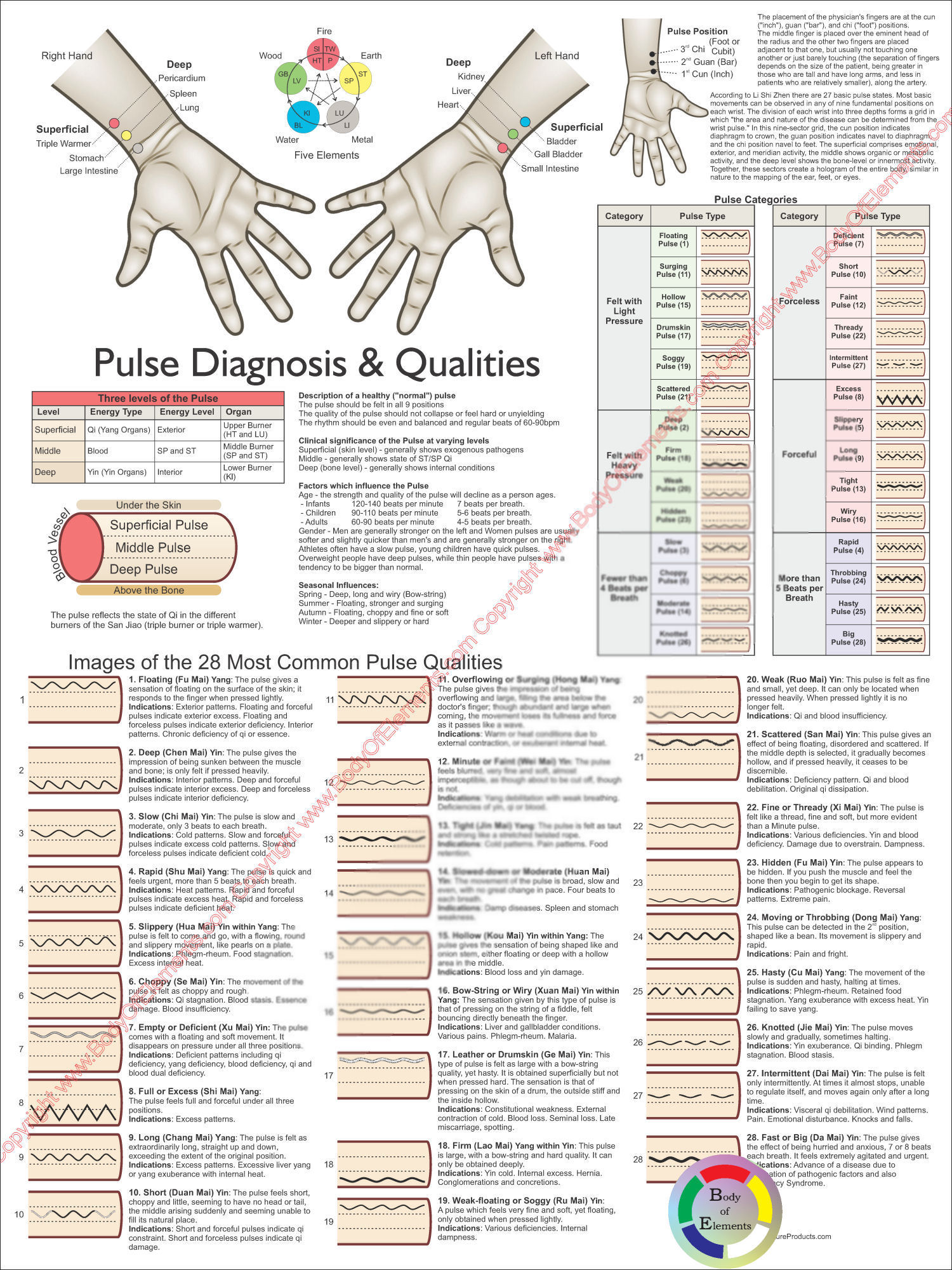 Pulse Diagnosis Poster Pulse Diagnosis Poster