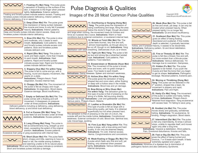 Pulse Diagnosis Images Chart Pulse Diagnosis Images Chart