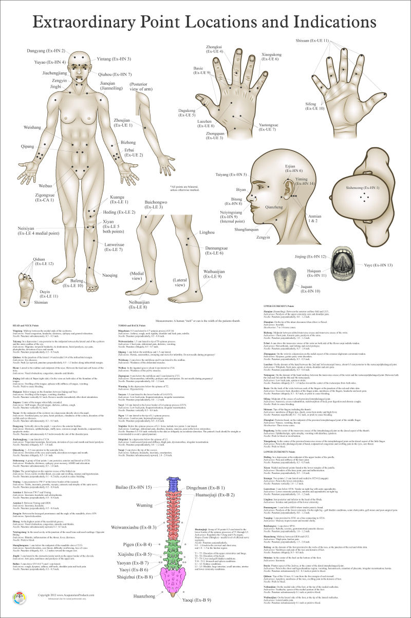 Extraordinary Acupuncture Points Chart Extraordinary Acupuncture Points Chart