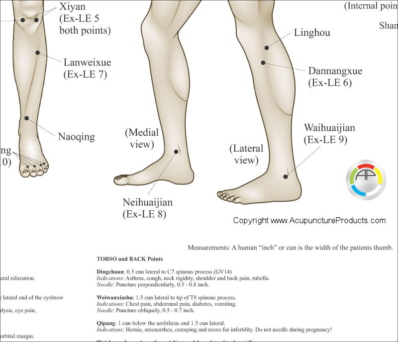 Extraordinary Acupuncture Point Locations Extraordinary Acupuncture Points