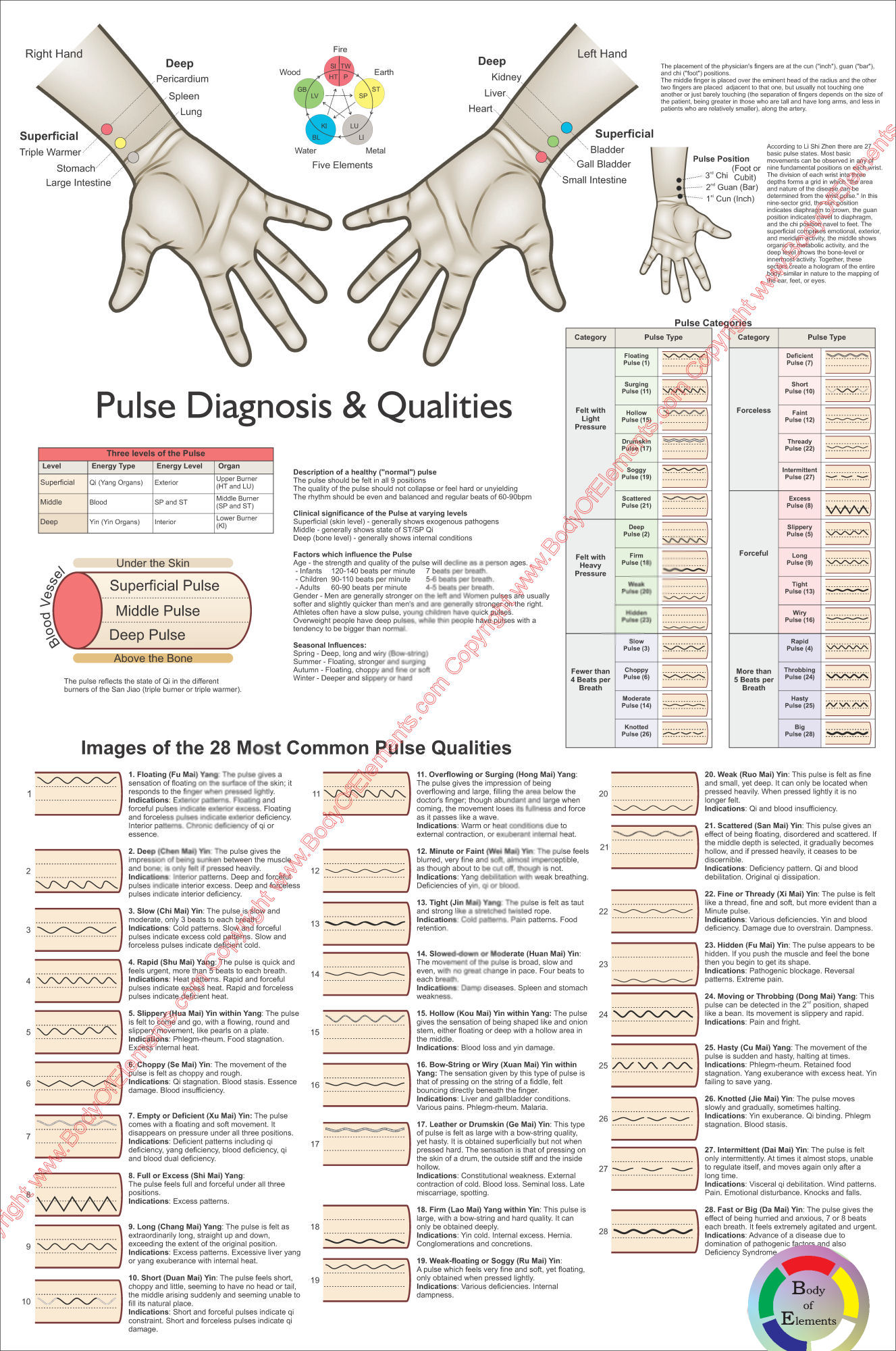 Pulse Diagnosis Qualities Poster Pulse Diagnosis Poster