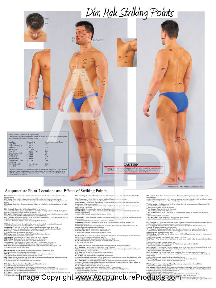 Dim Mak Striking Points Poster Dim Mak Striking Points Poster