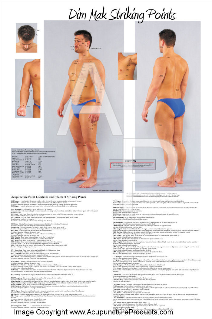 Dim Mak Striking Points Poster Dim Mak Striking Points Poster