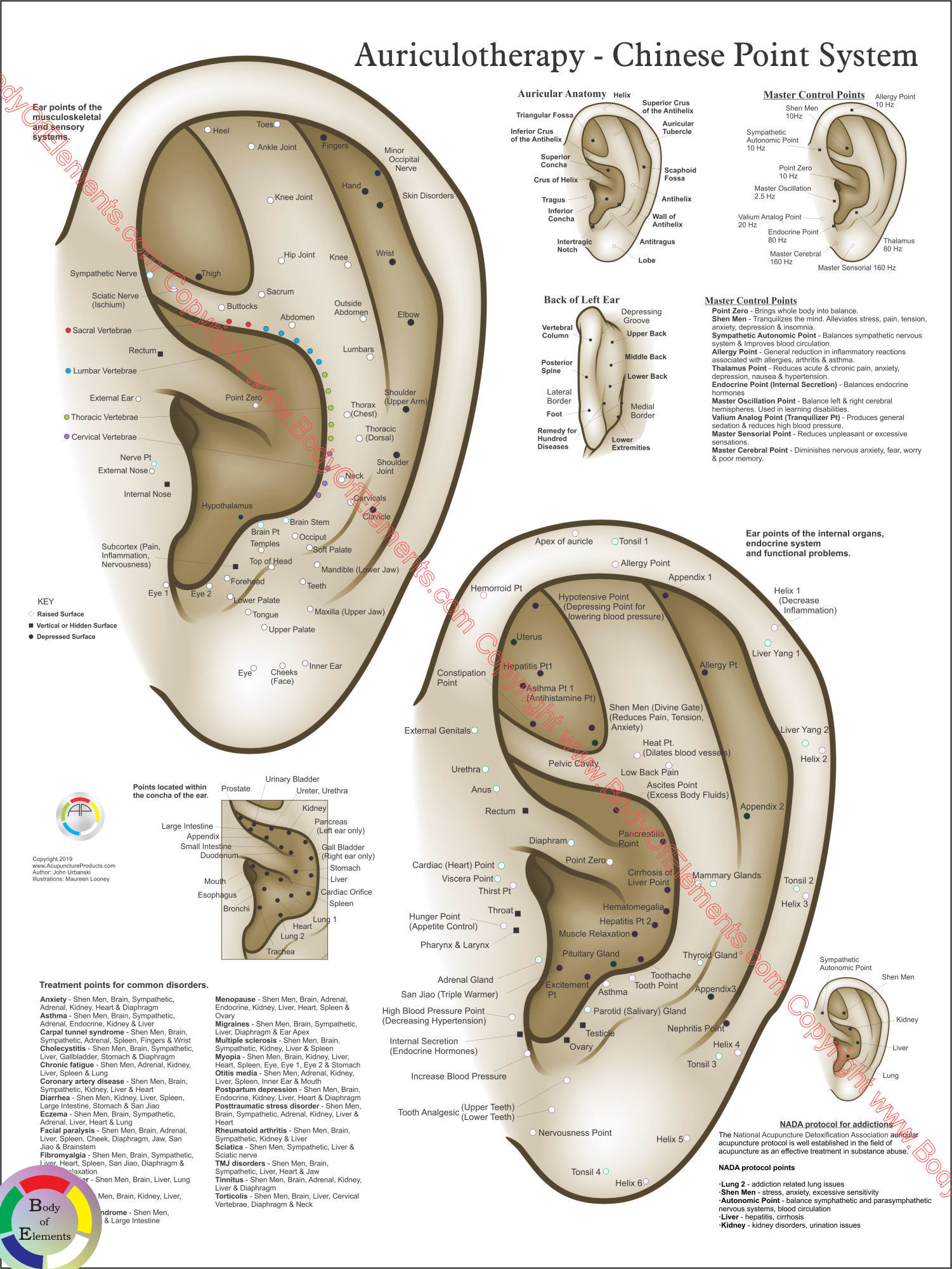 Chinese System of Auricular Ear Acupuncture Poster Chinese System of Auricular Ear Acupuncture