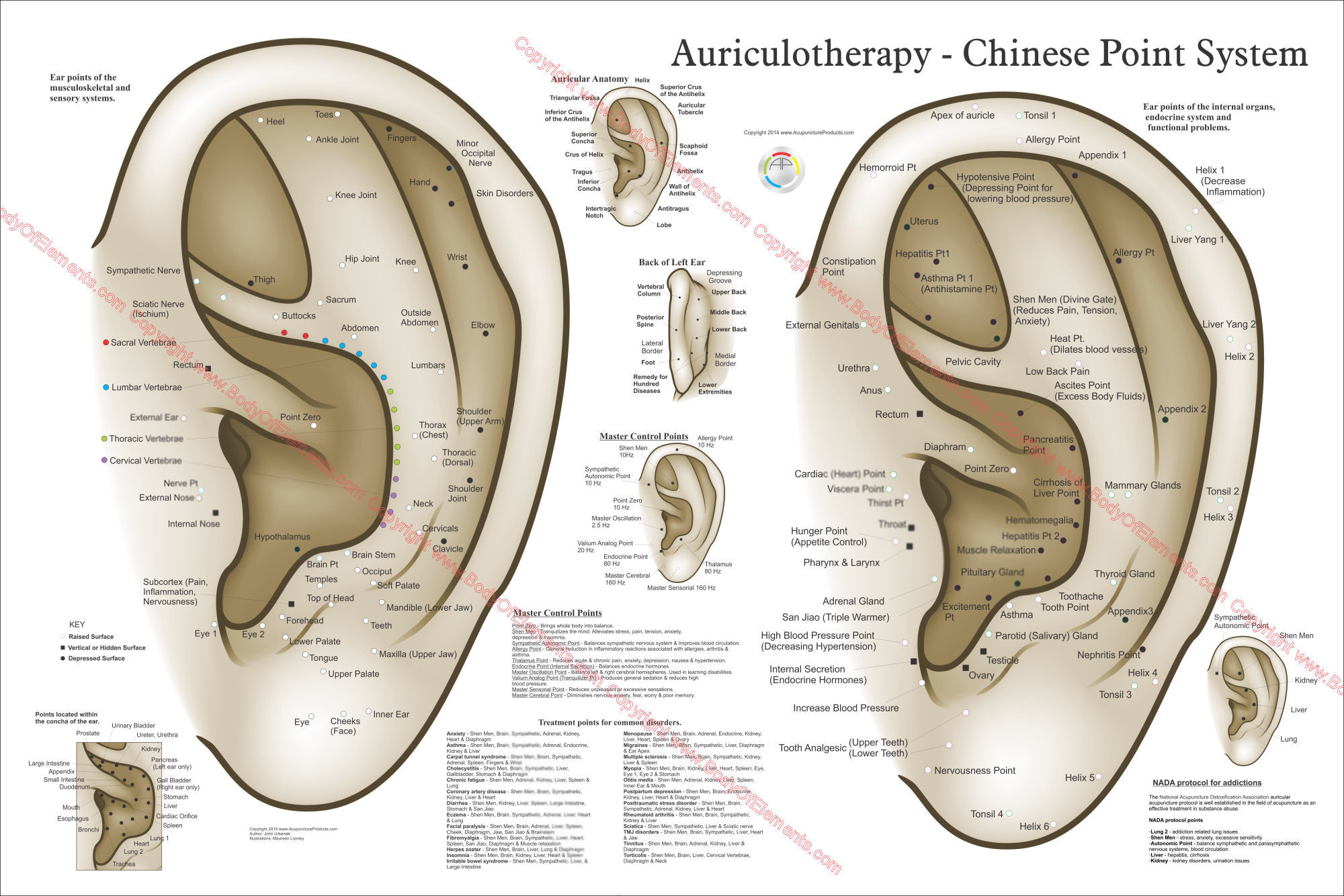 Chinese System of Auricular Ear Acupuncture Poster Chinese System of Auricular Ear Acupuncture