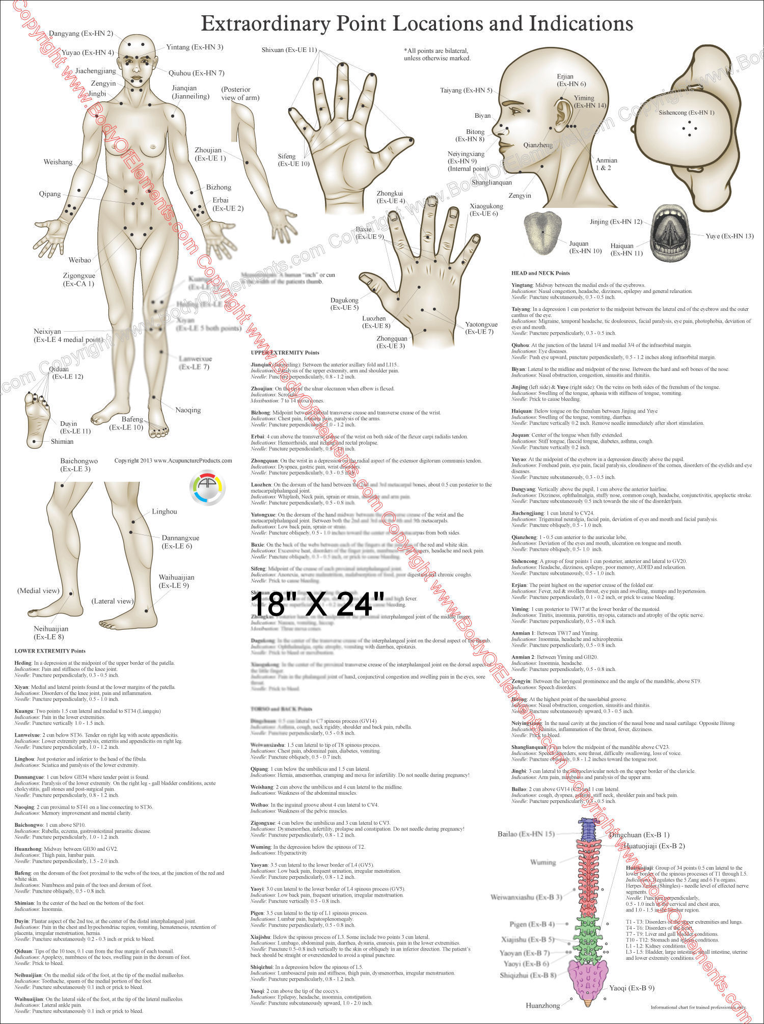 Extraordinary Acupuncture Points Poster Extraordinary Acupuncture Points Poster