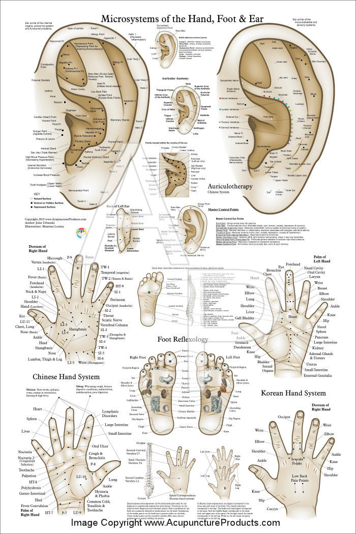 Acupuncture Microsystem Poster Acupuncture Microsystem Poster