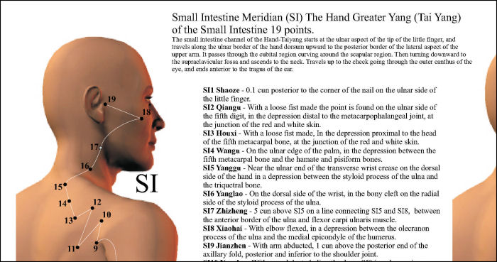 Acupuncture Point Location Reference Posters Acupuncture Point Location Reference Posters