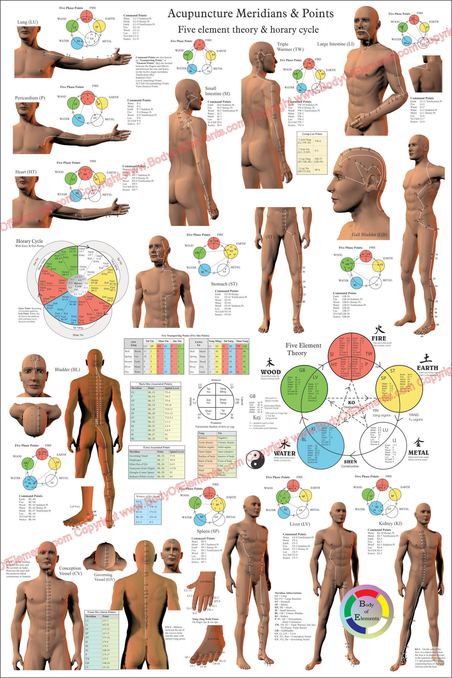 Acupuncture Meridian Points Poster Acupuncture Meridian Points