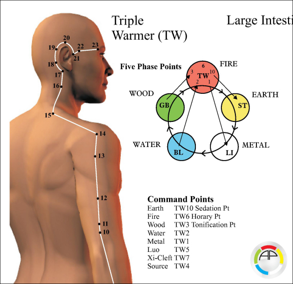 Acupuncture Meridian Points Chart Triple Warmer Acupuncture Meridian Points